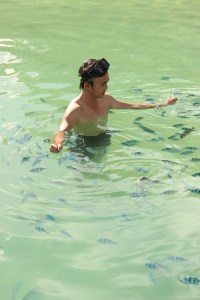 Fishy business on Manukan Island. 